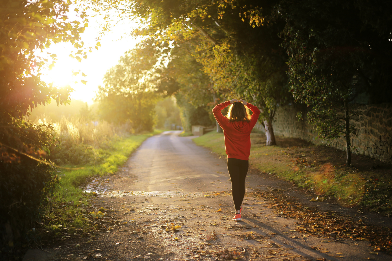 Woman Walking Through Forest Path